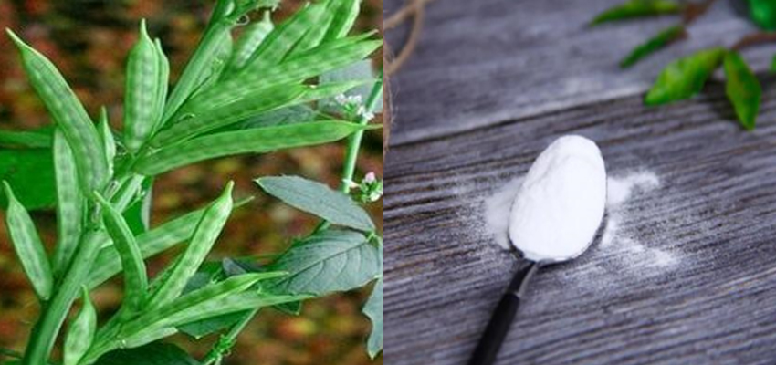 膳食纤维什么牌子的最好吃,膳食纤维哪种比较好