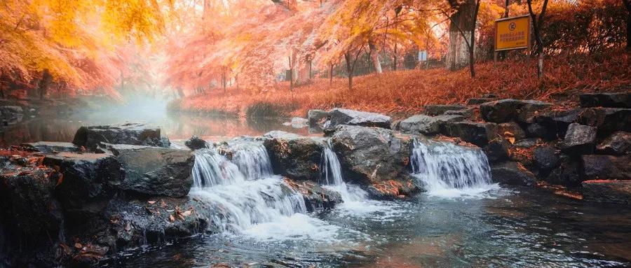 《易经》六十四个哲理，回答人生六十四个怎么办