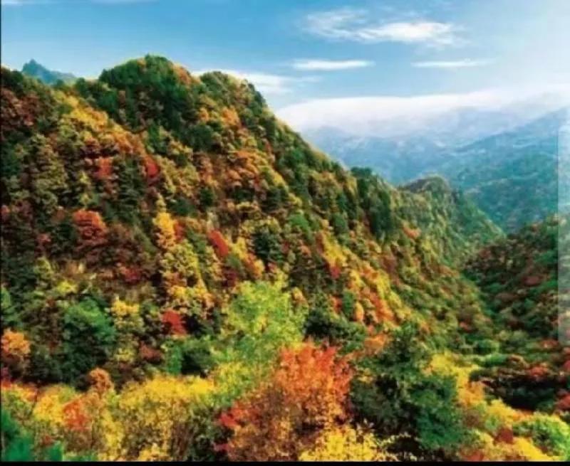 孟军创作的原声,孟军诗歌完整版