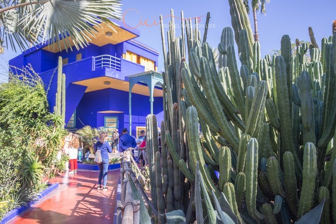 边逛边看感受摩洛哥马拉喀什风情,摩洛哥之旅之马拉喀什