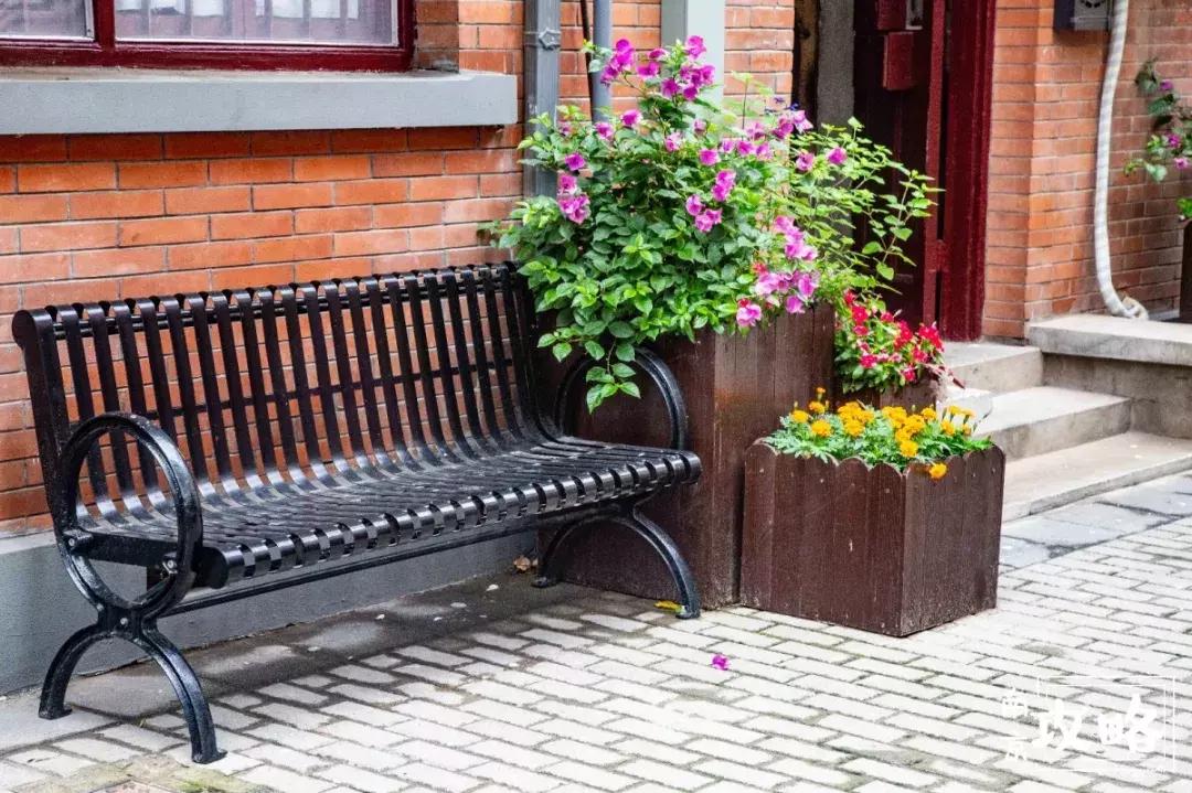 慧园里，南京城中，时光交错的角落