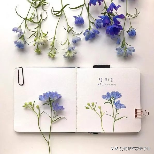 情感咨询|栗子姐每日情感问答(0731)