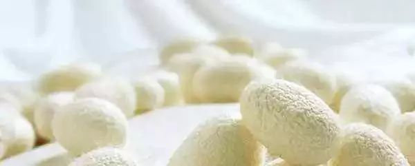 夏季面料选择特点有哪些,夏季面料哪种才是最舒服