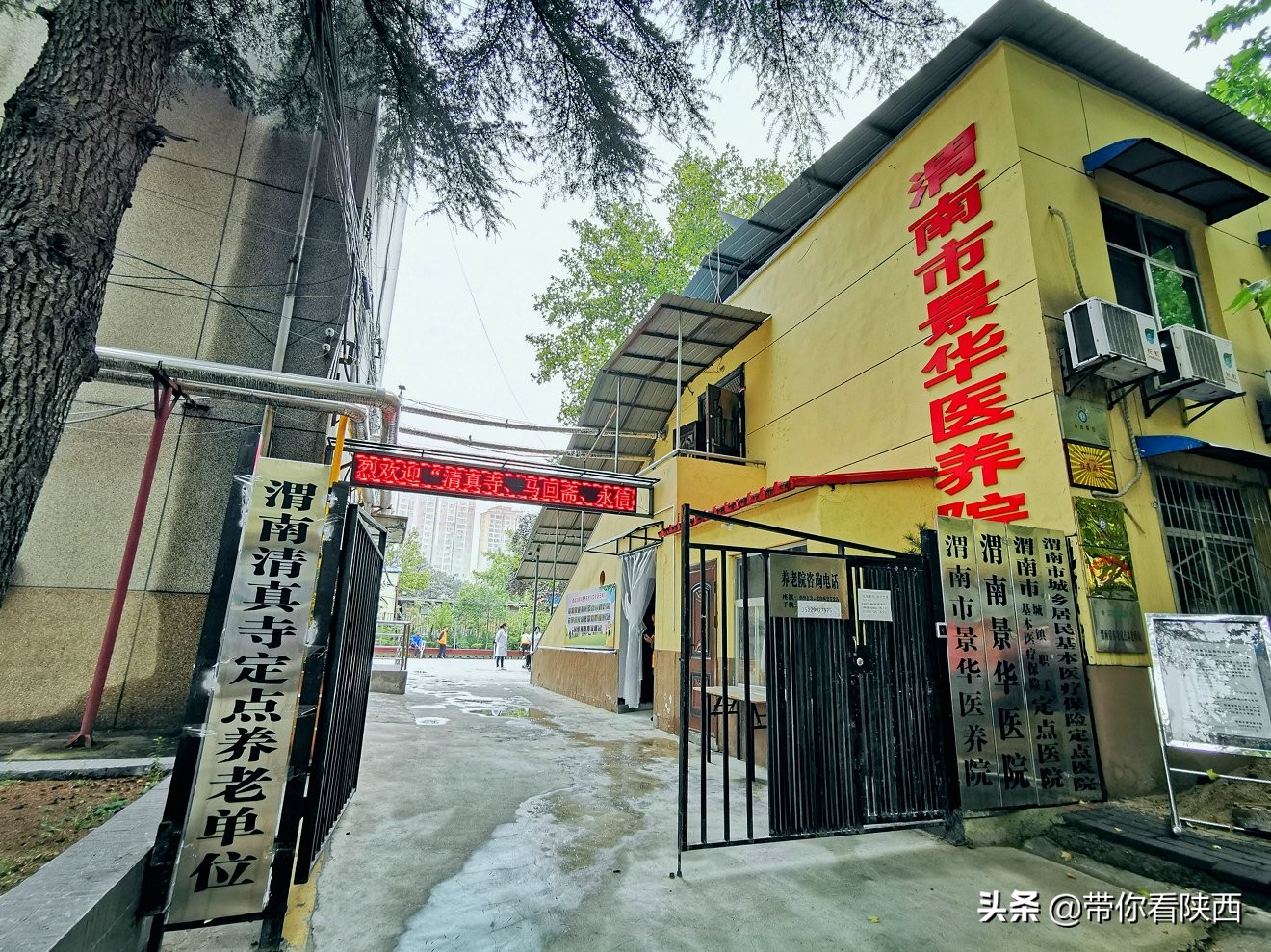 谷泽天下生态农场走进渭南市景华医养院举办重阳节爱心慰问活动