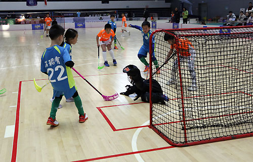 全国软式曲棍球锦标赛,青少年软式曲棍球锦标赛