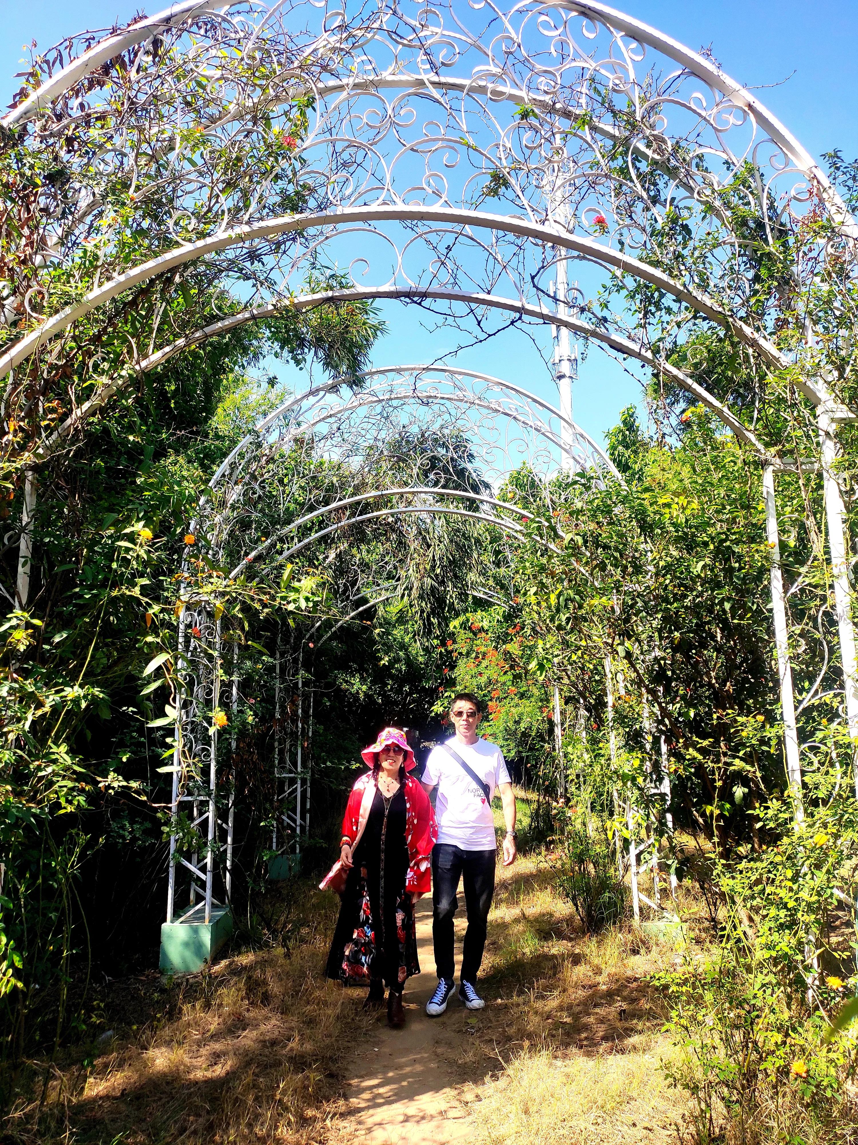 南沙好玩的地方百万葵园,广州南沙百万葵园几月份去最好