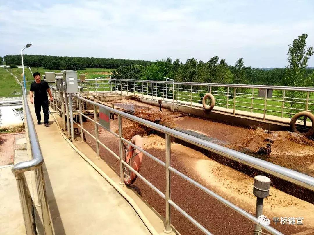 怎么样处理生活垃圾,如何处理生活垃圾