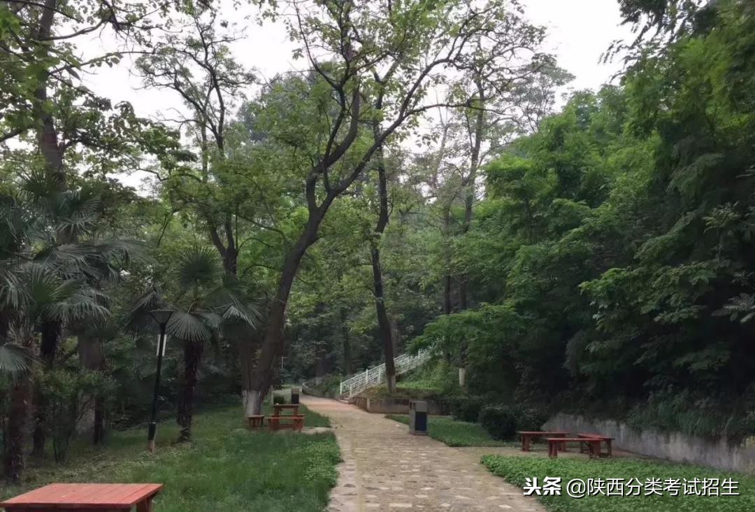 魅丽校园行之-陕西职业技术学院