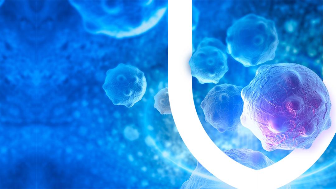 ppt中许多照片怎样处理好看,ppt中的图片式表格怎么处理