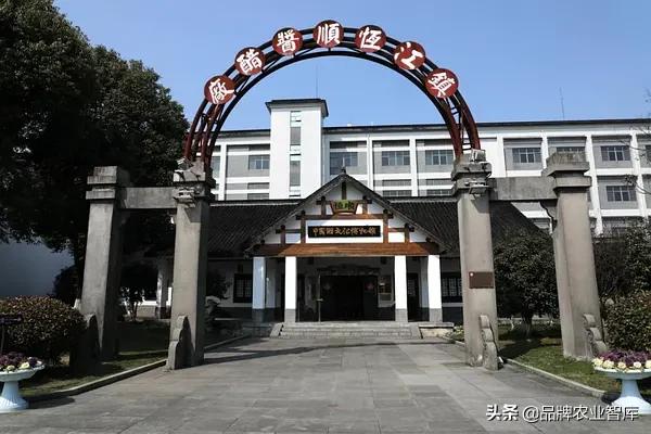 恒顺发展史,恒顺的发展规划