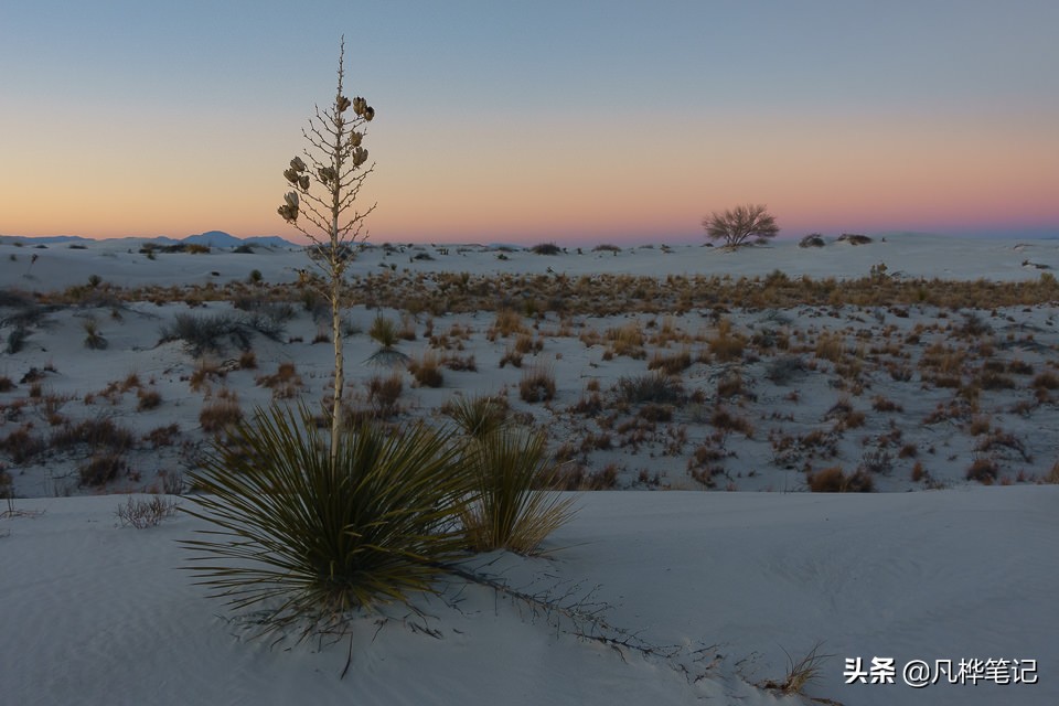 摄影曝光补偿的妙用,学习摄影曝光