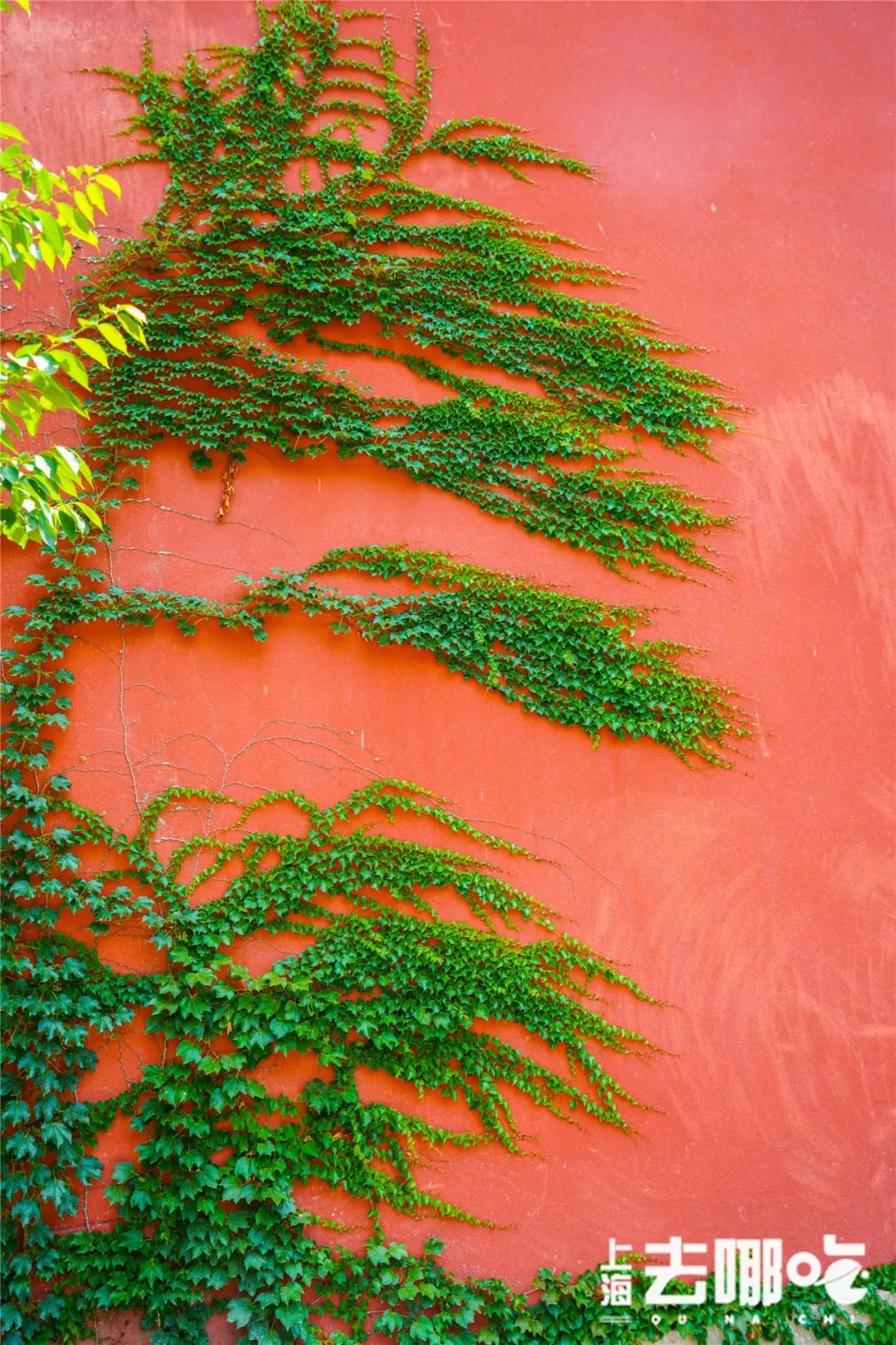 上海国庆小众旅行攻略路线图,上海出发国庆旅游攻略推荐