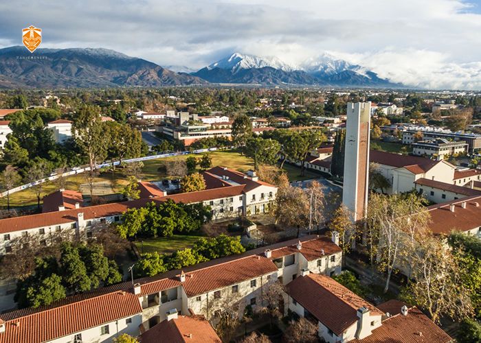 非诚勿扰最矮女嘉宾照片,非诚勿扰大学罗老师
