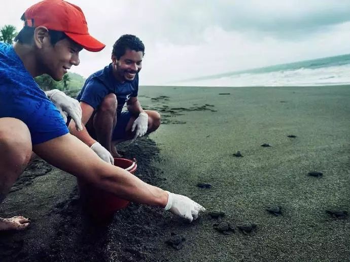 西尔莎罗南获金球奖,文娱有料