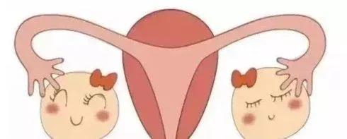 试管婴儿闯几关？才算闯关成功