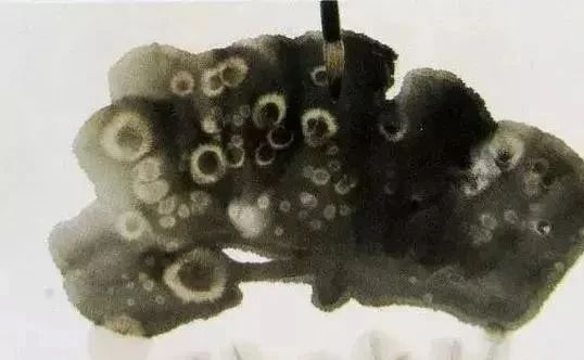 国画作品常识有哪些,国画创作的思路和方法