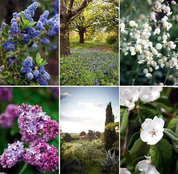 花园设计前沿趋势|14种澳洲庭院花园类型(上篇),全面细致