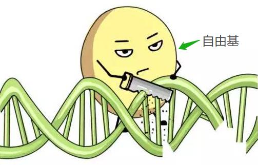 脸部皮肤怎么抗氧化,抗氧化对皮肤的作用