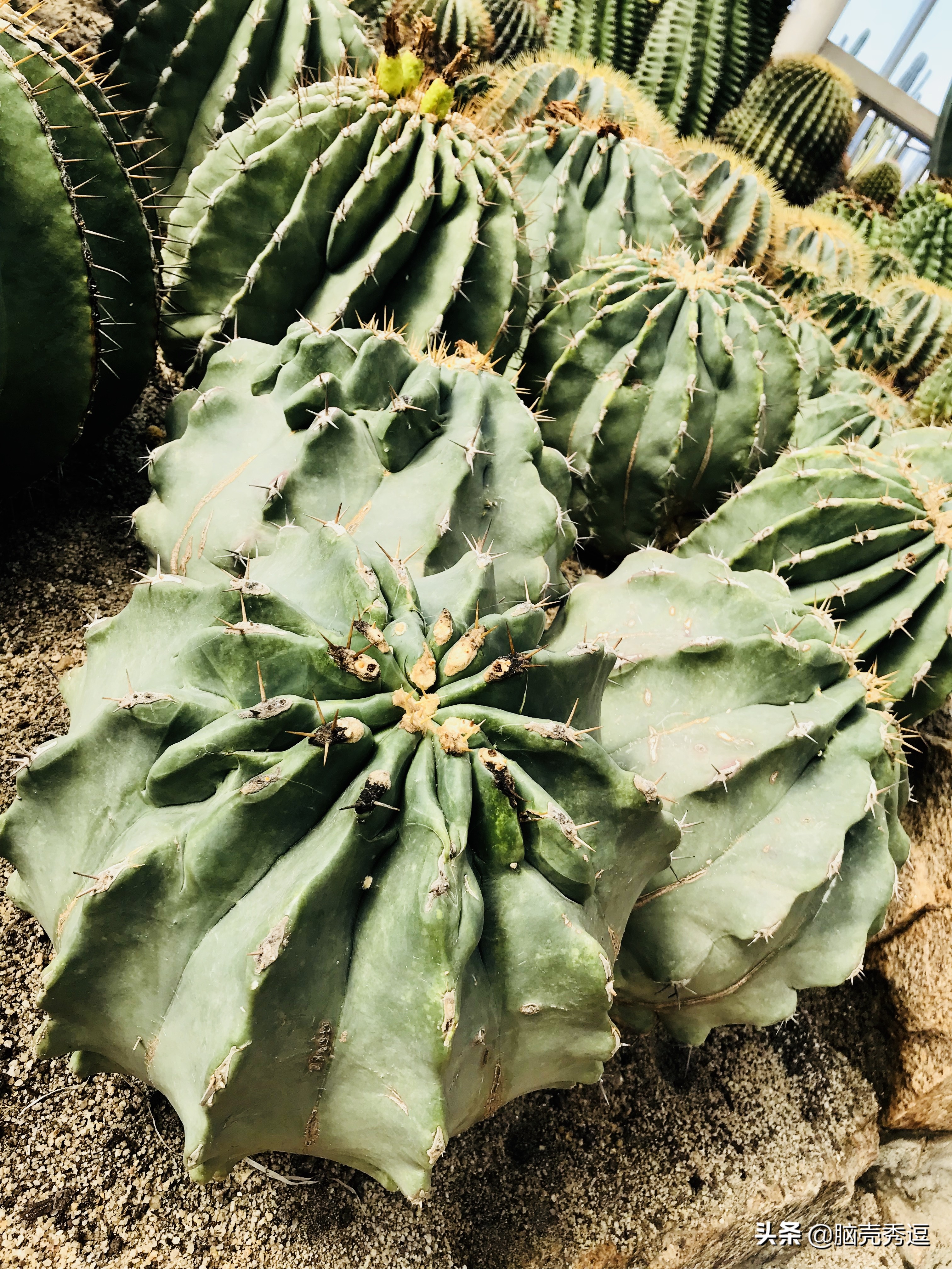 厦门四天自由行攻略最详细,厦门自由行攻略5天详细