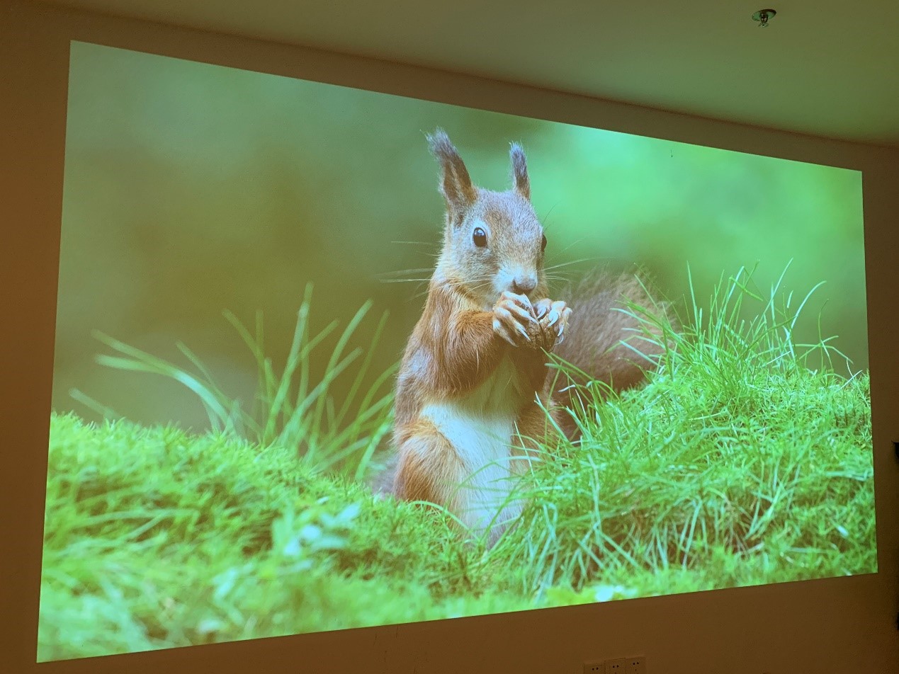 坚果x3投影,坚果4k超高清投影仪效果