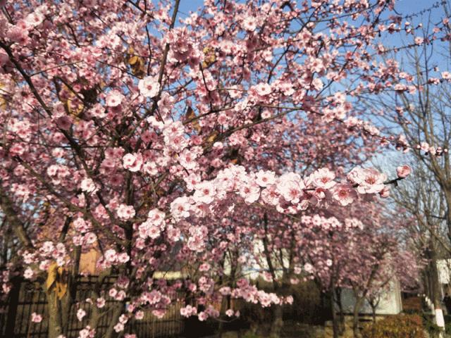 杨凌现状,杨凌最新照片