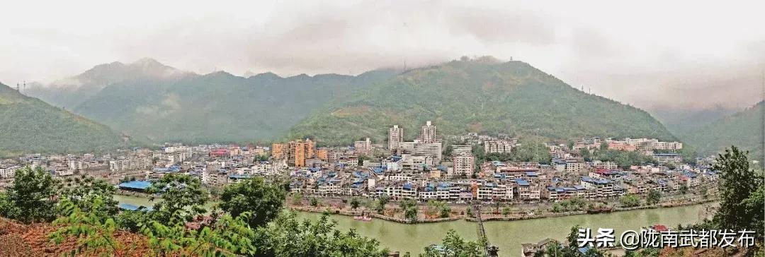 陇南市推动高质量发展的举措,陇南市发展战略