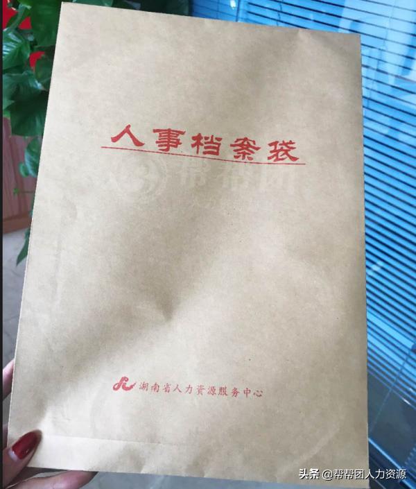 档案丢了不回学校怎么补办,档案丢失了怎么办