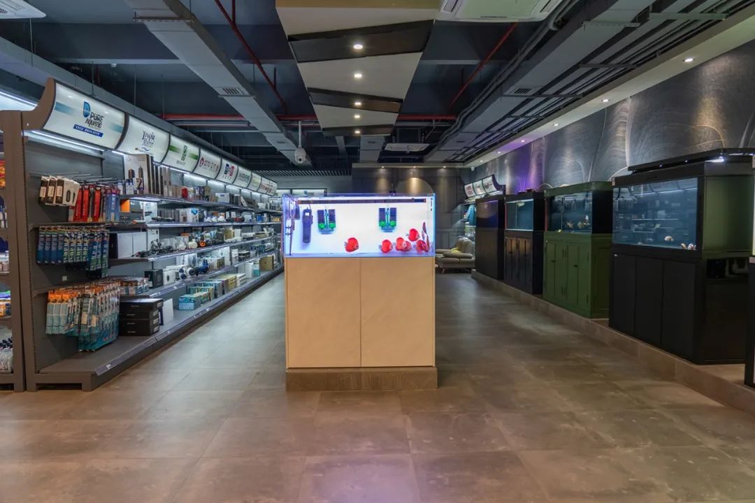 新鱼缸放鱼后水质非常浑浊,鱼缸加了益生菌后水质发白浑浊