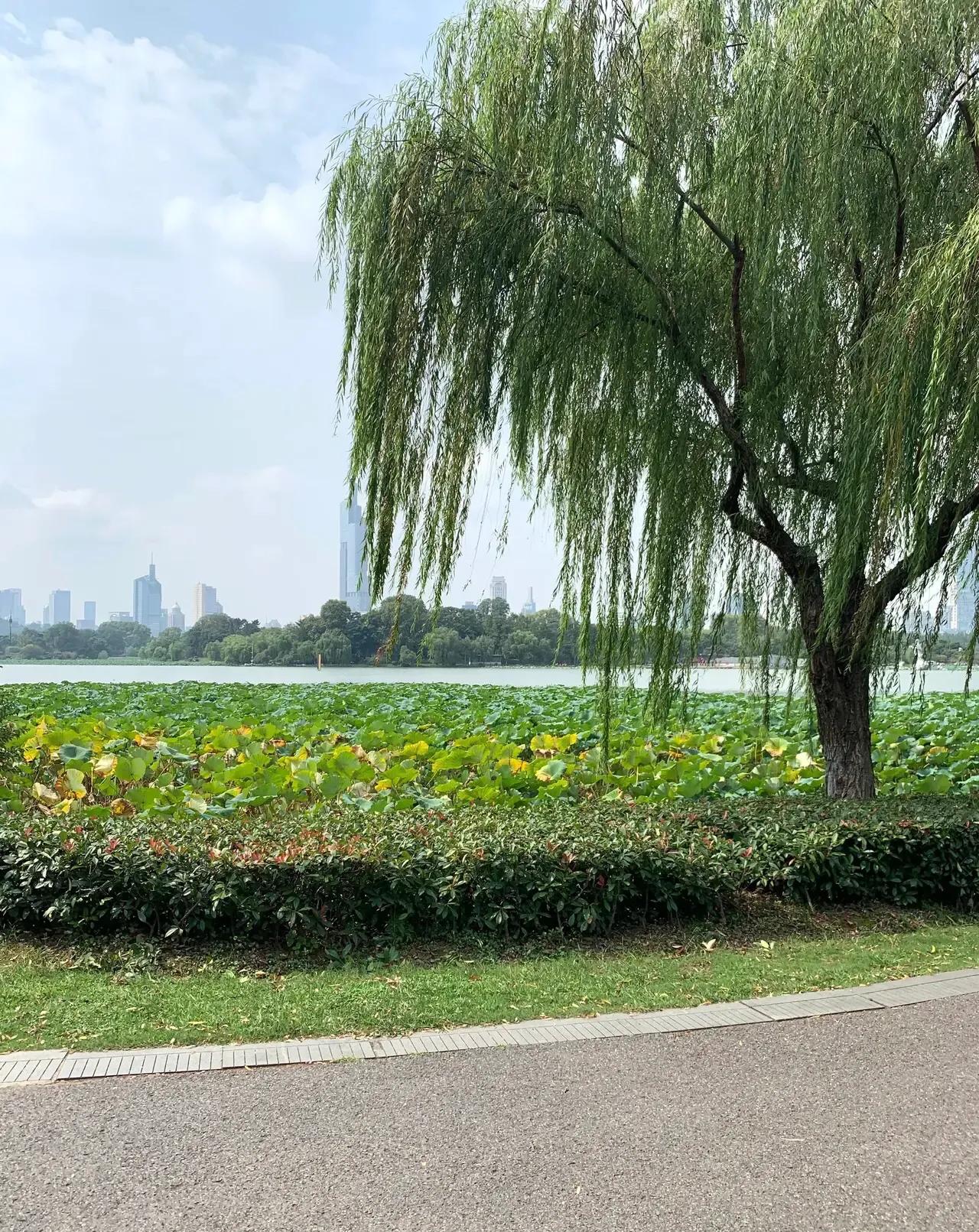 高考散文阅读讲解视频,散文阅读核心知识图