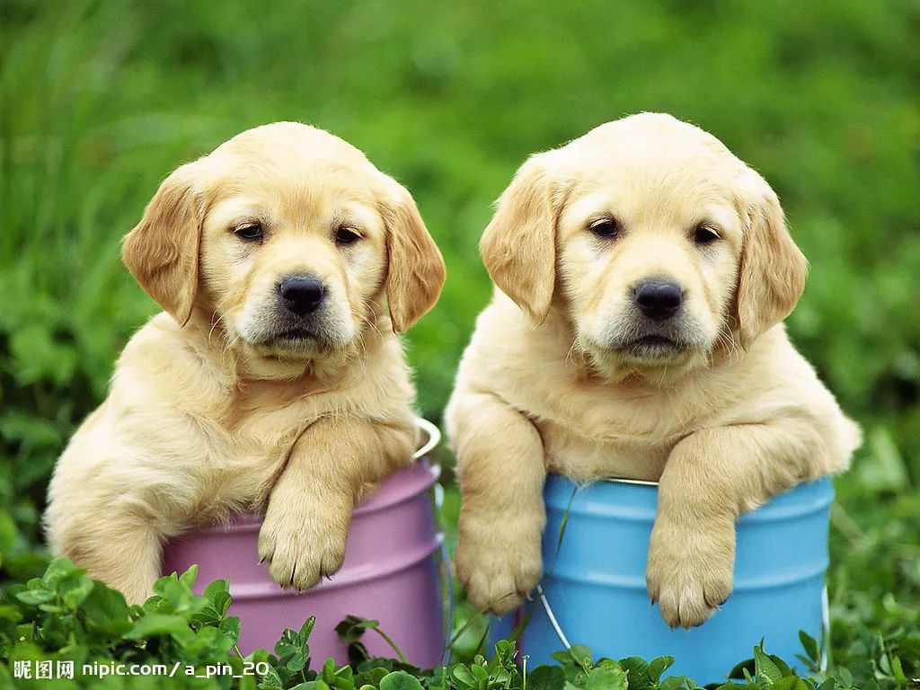 被困在家，这次，我只想让你快乐