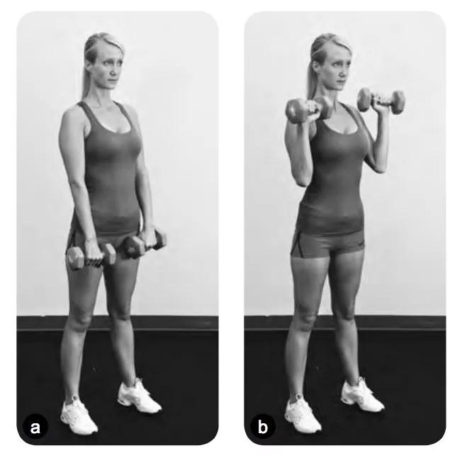 怎样让手臂的肌肉线条更明显,如何让手臂肌肉线条变明显