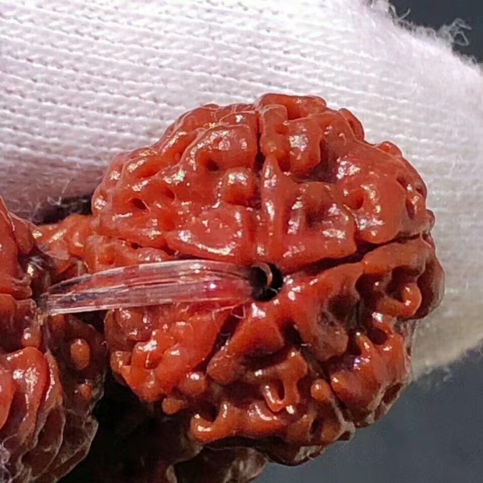 金刚菩提机刷会有色差吗,金刚菩提沉水晾干后怎么有色差