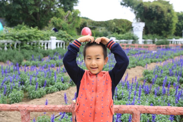 森林花海亲子游攻略,森林公园亲子游推荐