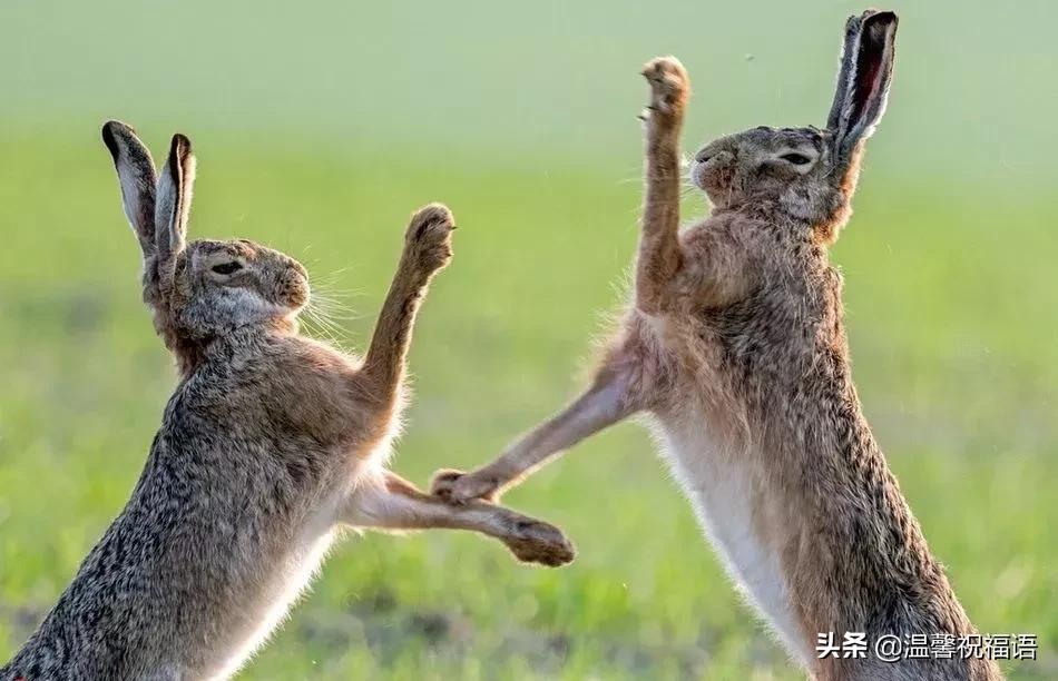 今天3月10，我的妈呀！谁编的，太好笑了，给群里乐一乐