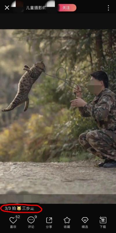 用绳栓猫头抛猫拽猫!还称自己爱猫?求求你做个人吧!