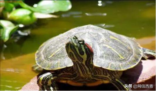 全民国家安全教育日的感受和看法,全民国家安全教育日筑牢国家安全