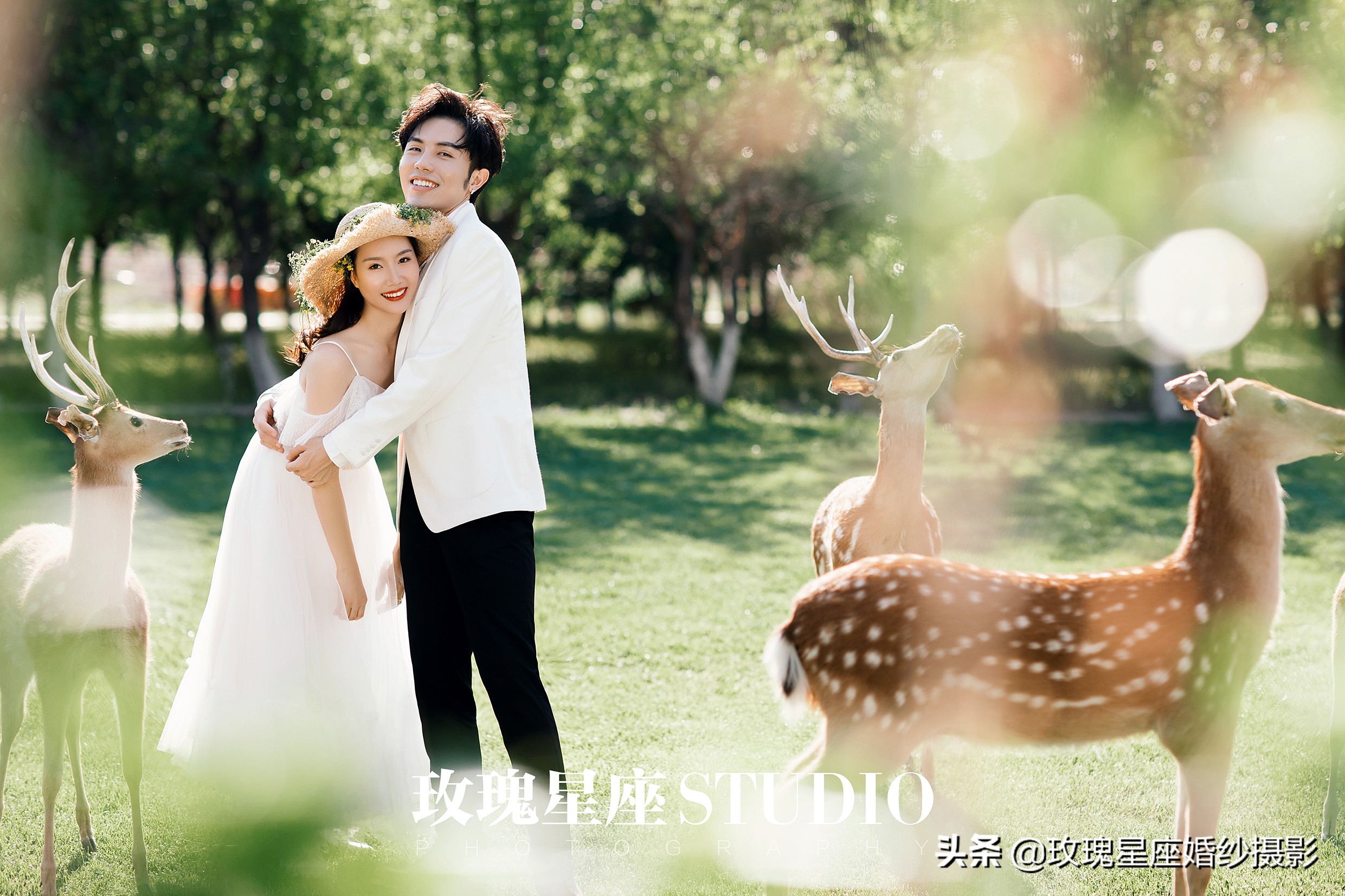 婚纱照必拍的9种风格,韩式小清新可爱俏皮室内婚纱照