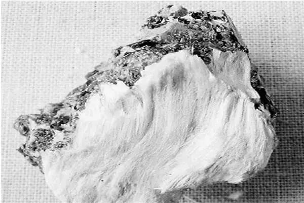 强生爽身粉含滑石粉能用吗,强生爽身粉含滑石粉吗