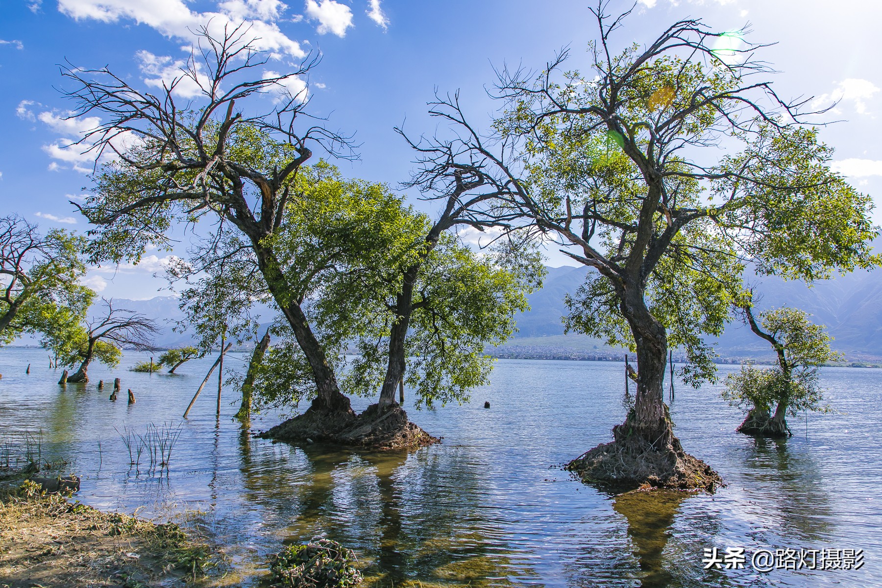去过了大理还能去哪里,大理是一个向往自由的地方