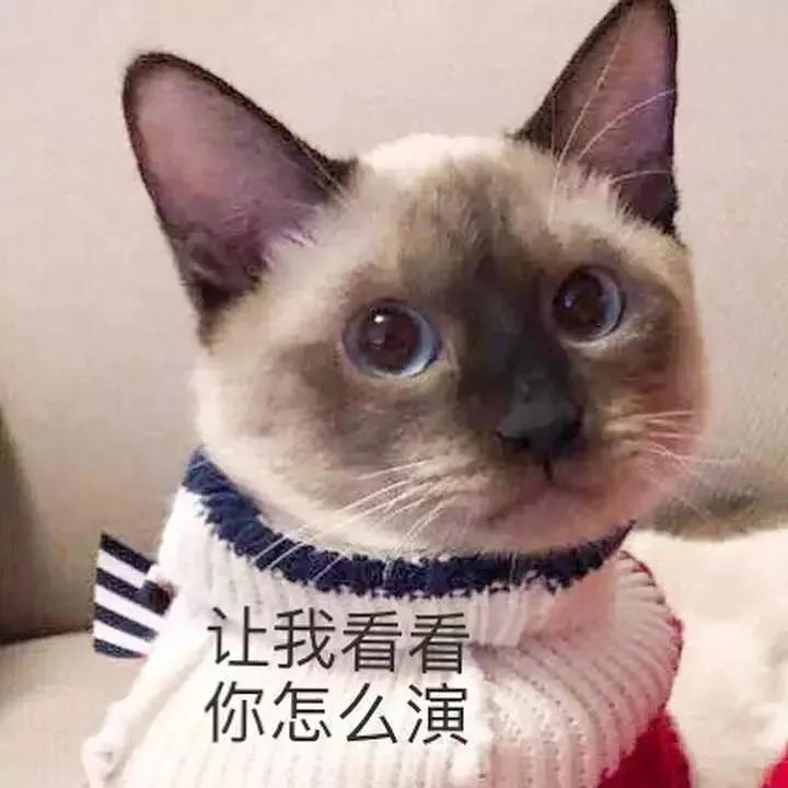 猫咪泌尿系统有问题怎么治,猫咪容易患的疾病如何治疗和预防