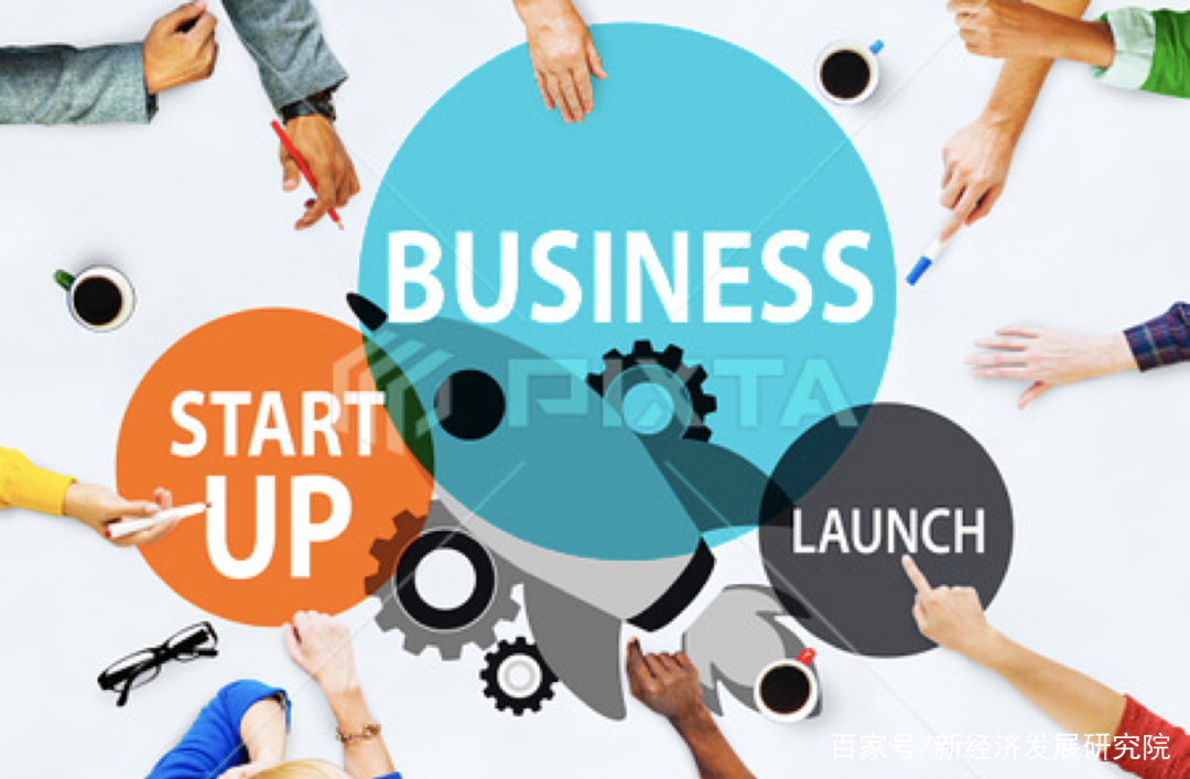 孵化器怎么孵出金蛋,大学孵化器的功能