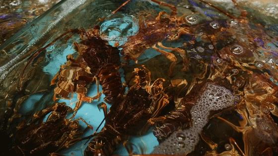 当地无人不知的几十年老店,无人不知的特色菜