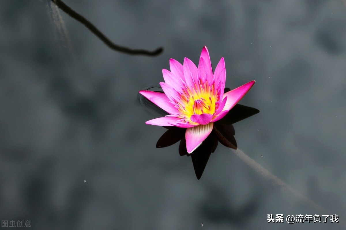 怎么才能做到心无杂念不乱想,怎么做到心无旁骛凡事不计较