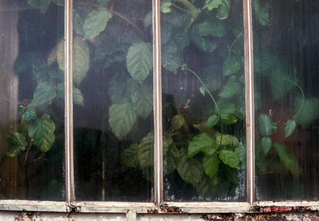 一件小事足以看出一个人的人品,哪些小细节能暴露一个人的人品