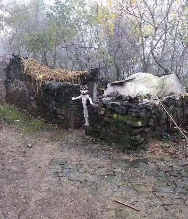 聚会上真心话大冒险，女朋友给足了我面子