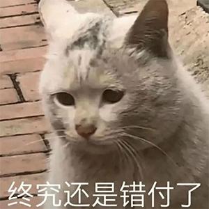 这个世界的智商税,丧心病狂的智商税