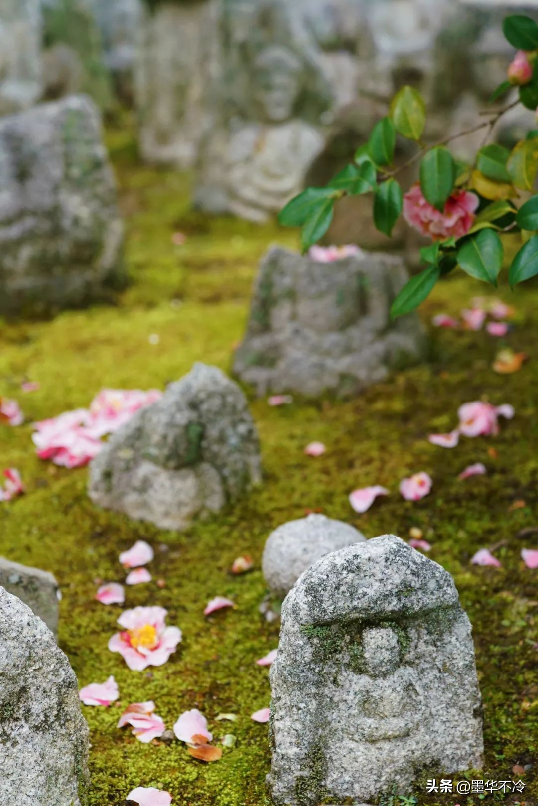 京都一眼千年的美景,京都永恒的美