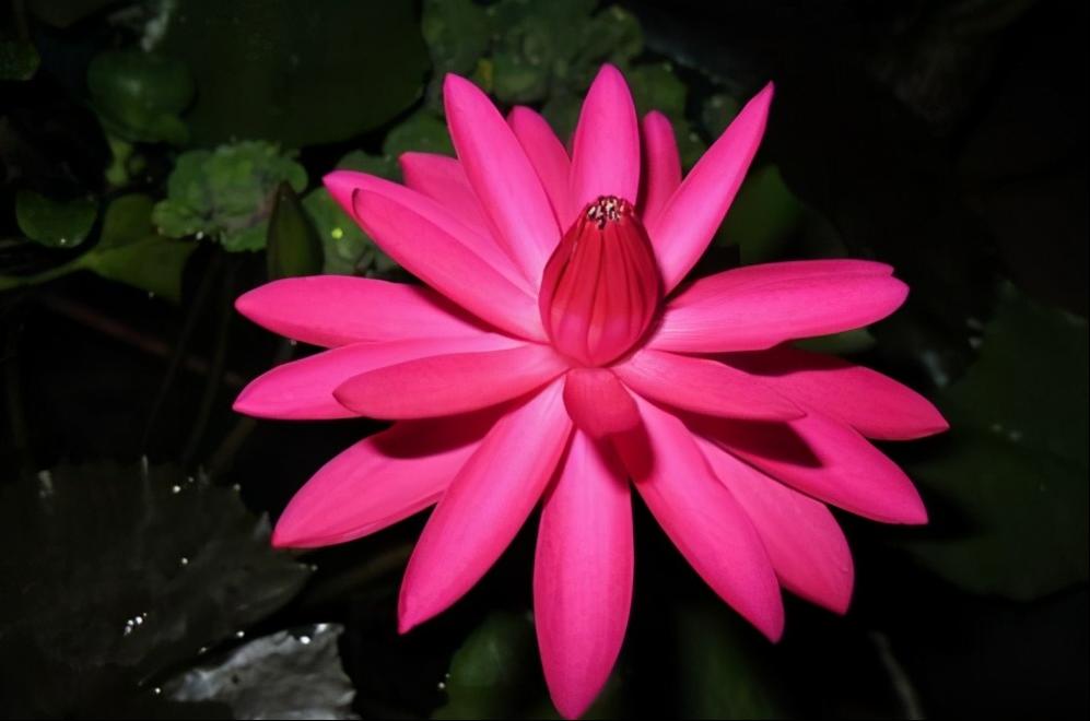 怎么看出有没有忘掉前任,真正忘掉前任的表现