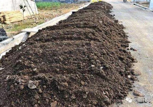 鸡粪不发酵直接上地里的危害,没发酵的鸡粪有什么危害