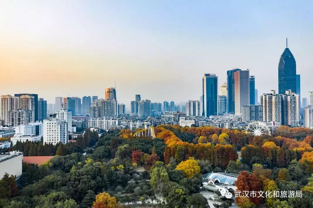 武汉一日游攻略必去十个景点免费,武汉一日游推荐景点介绍